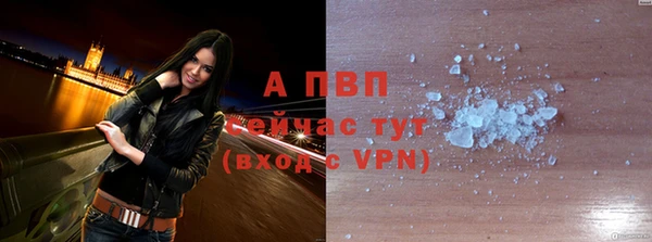 СК Заводоуковск