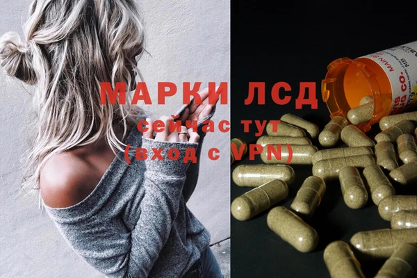 СК Заводоуковск