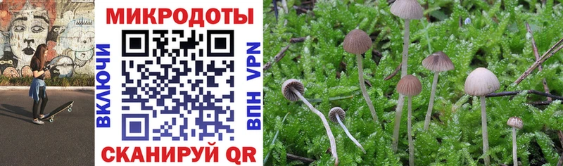 Купить закладки  Колпашево  Галлюциногенные грибы Psilocybine cubensis 